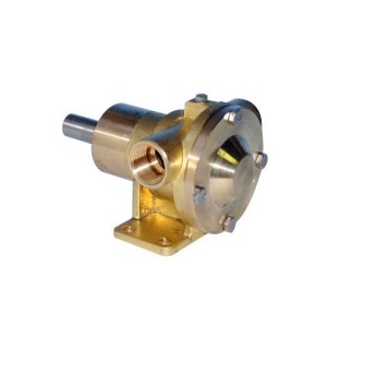 Impeller pumpe 3/4' PM35