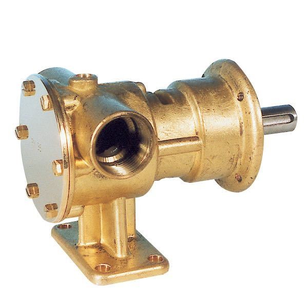 Impeller pumpe 1'